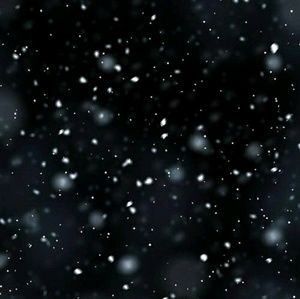 Meet your Posher, Daniela